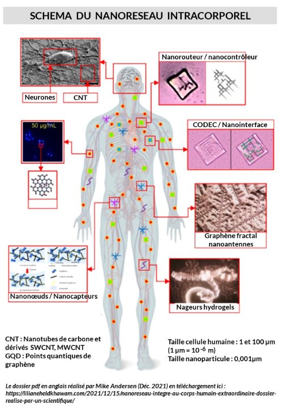 schema-du-nanoreseau-intracorporel.jpg