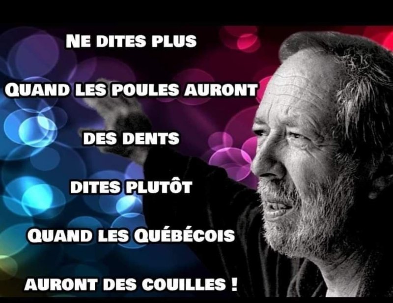 les-quebecois-doivent-se-prendre-en-main.jpg