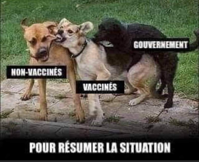 les-vaccines-qui-s-en-prennent-aux-non-vaccines-en-septembre-2021.jpg