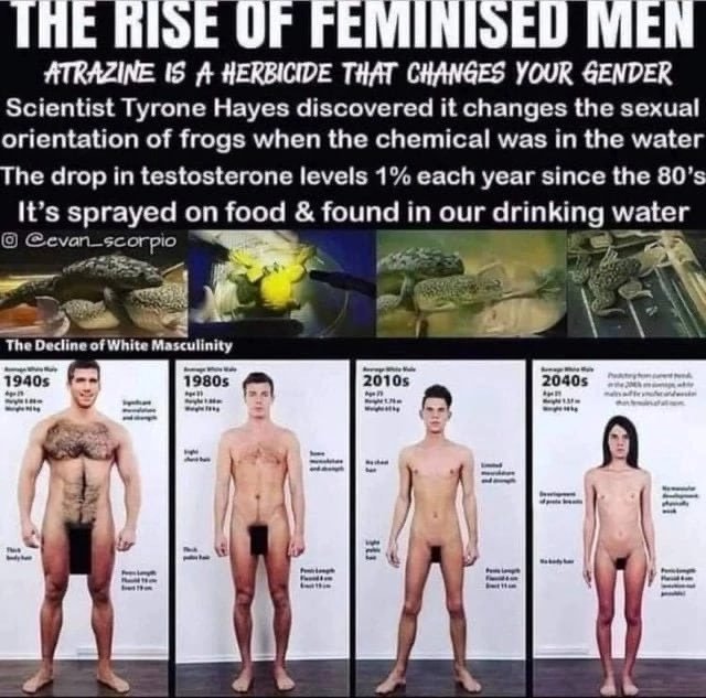 l-atrazine-change-le-sexe.jpg