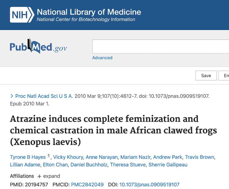 les-effets-de-l-atrazine.jpg