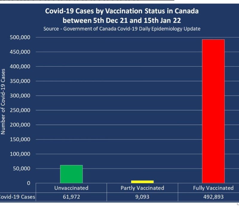 les-cas-de-covid-par-status-vaccinal-au-canada.jpg