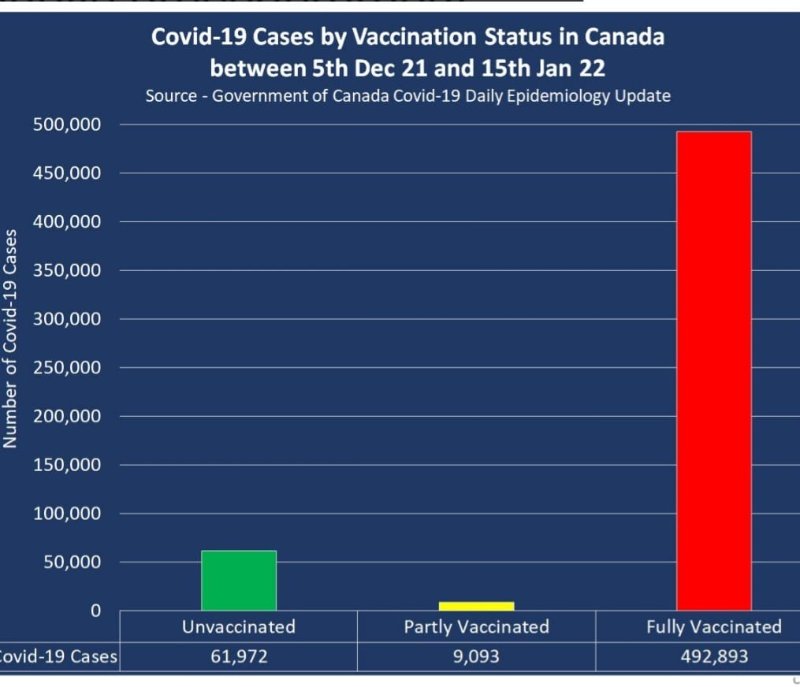 les-cas-de-covid-par-status-vaccinal-au-canada.jpg
