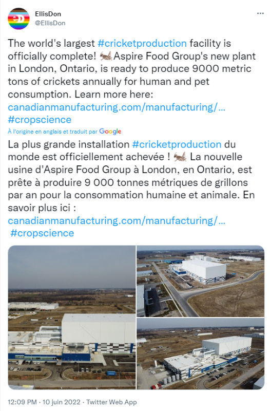 l-usine-de-criquets-a-london-en-ontario.png