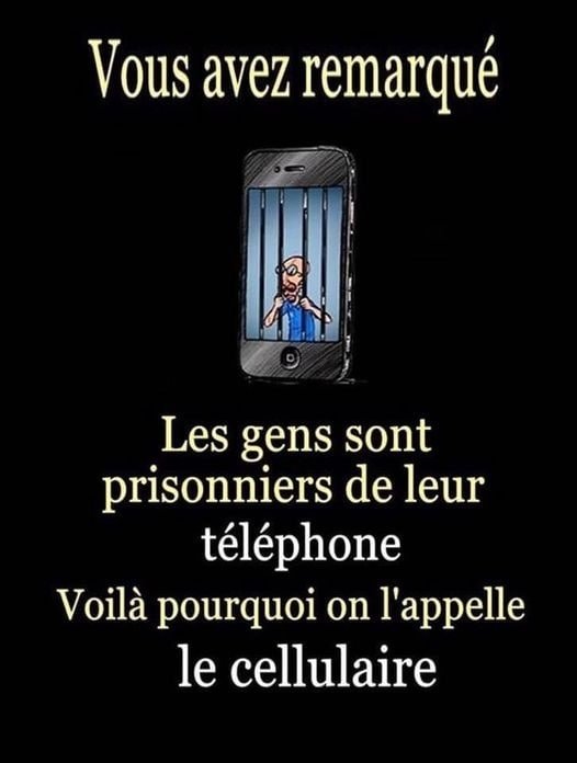 pourquoi-ca-s-appelle-un-cellulaire.jpeg