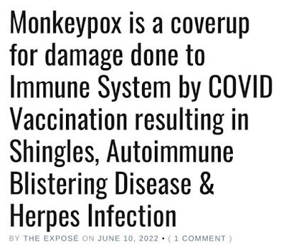 la-variole-simienne-est-une-couverture-pour-les-effets-des-vaccins.jpeg