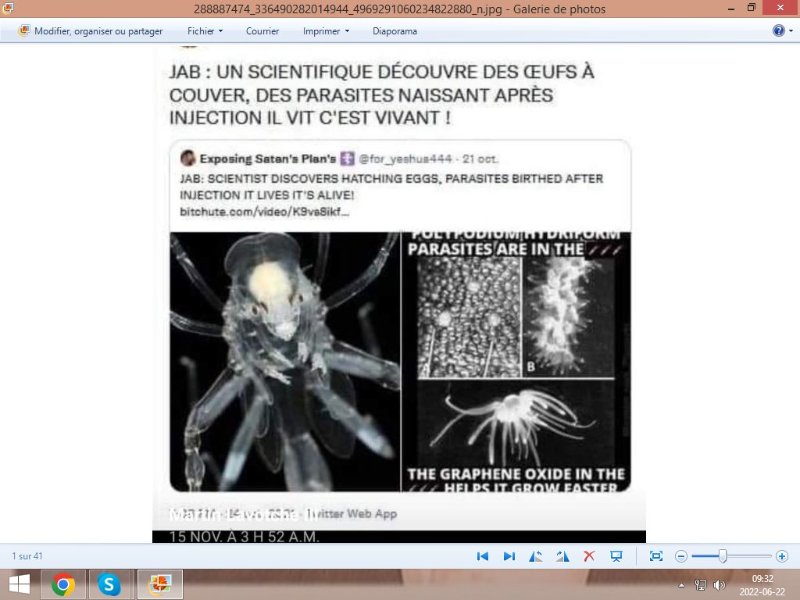des-parasites-naissants-dans-les-vaccins-covid-injectes.jpeg
