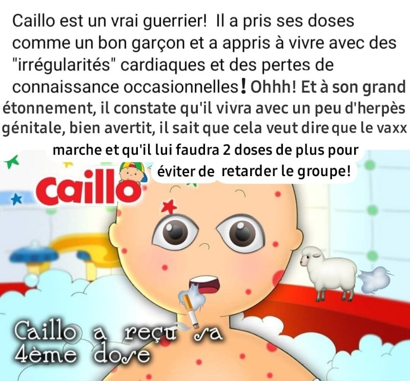 caillo-a-ses-doses.jpeg
