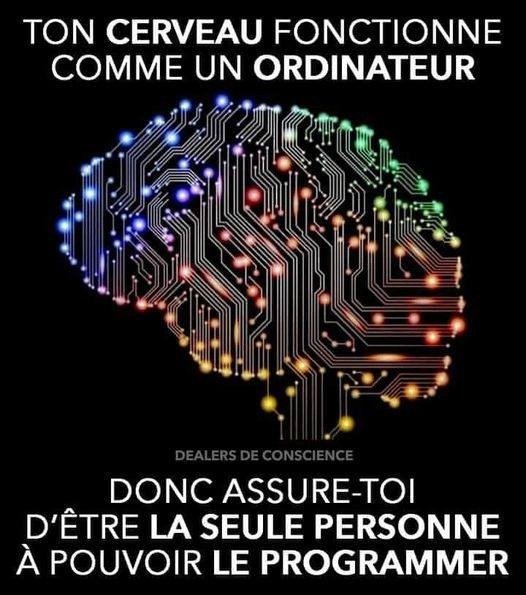 sois-le-seul-a-programmer-ton-cerveau.jpeg