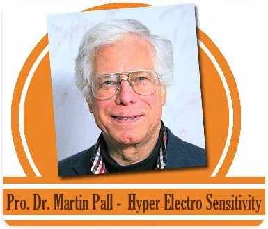 dr-martin-pall.jpg