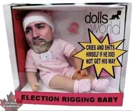 le-bebe-qui-vole-les-elections.jpg