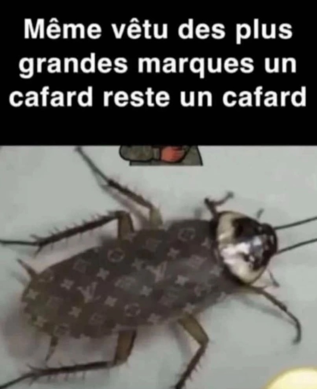 un-cafard-reste-un-cafard.jpeg