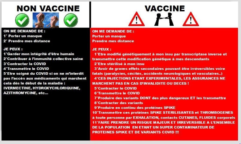 differences-reelles-entre-vaccines-ou-non-vaccines.jpg
