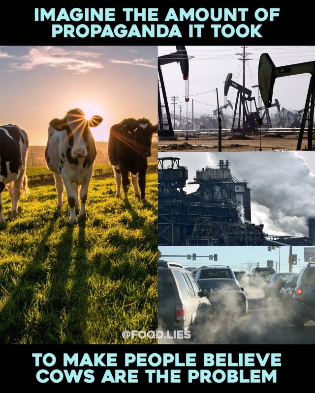 imaginez-la-propagande-qui-cible-les-vaches-qui-seraient-le-probleme.jpeg