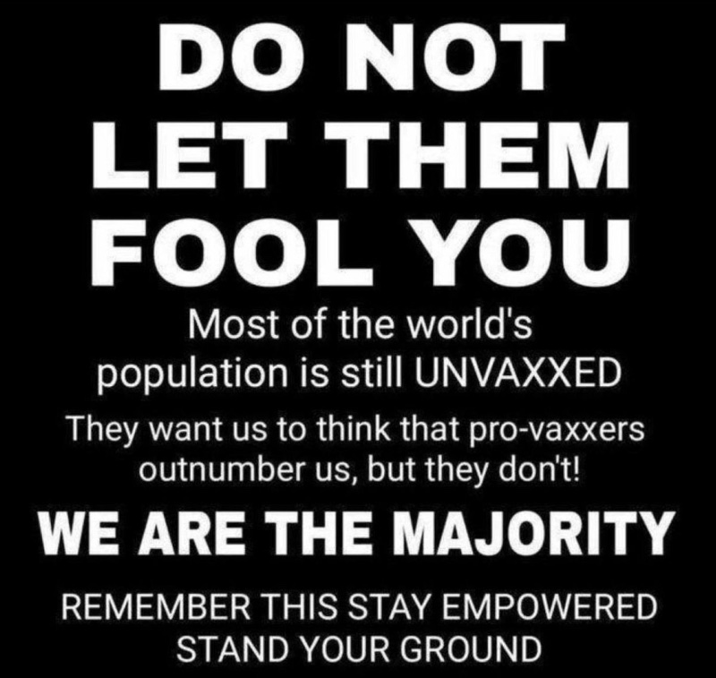 les-non-vaxxines-sont-encore-la-majorite.jpeg