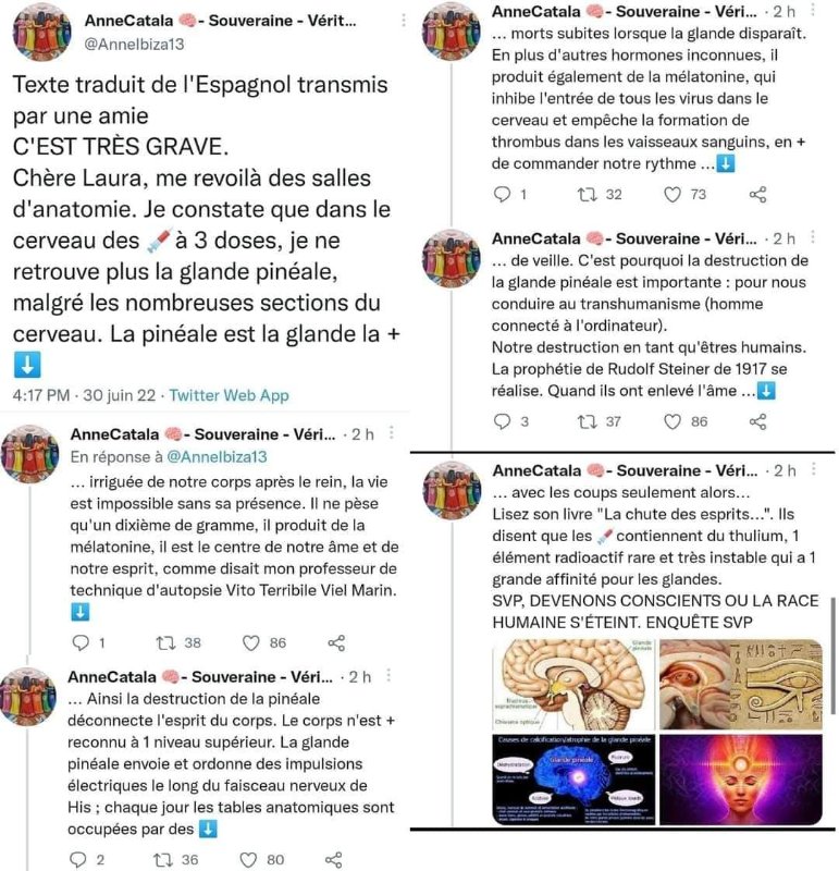 disparition-de-la-glande-pineale-apres-la-3e-dose.jpg