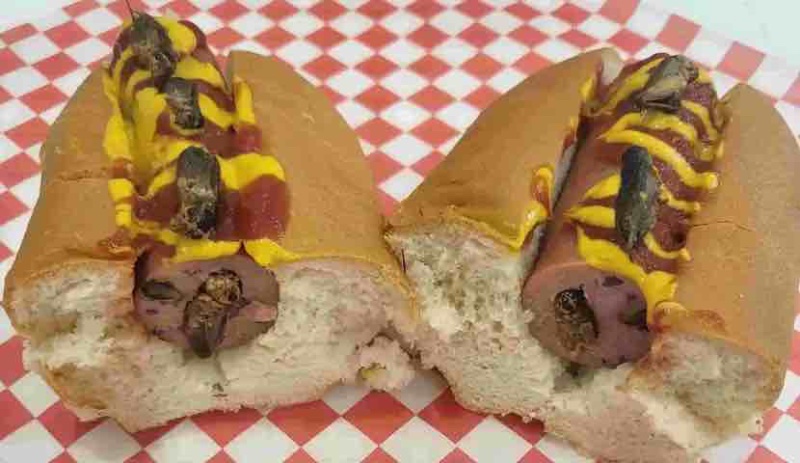 hot-dog-aux-criquets-au-stampede-de-calgary.jpg