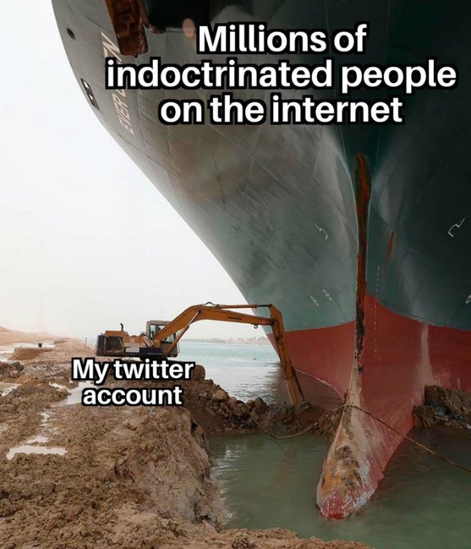 les-millions-de-gens-endoctrines-dans-l-internet-contre-mon-petit-compte-twitter.jpg