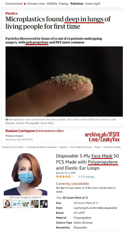des-micro-lastiques-dans-les-poumons-des-gens.jpg