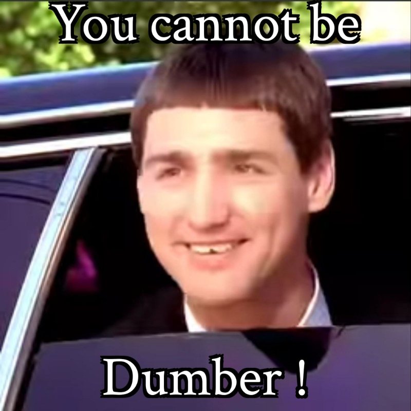 vous-ne-pouvez-pas-etre-plus-trudeau.jpg