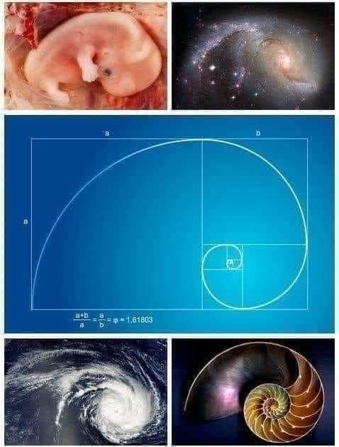 geometrie-sacree-vous-etes-l-energie-eternelle.jpg
