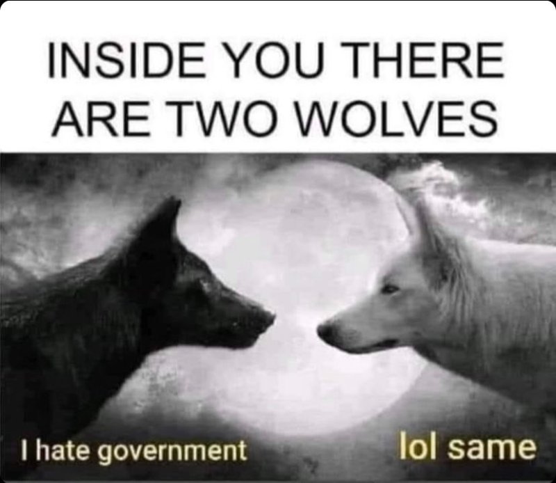 les-2-loups-detestent-le-gouvernement.jpg