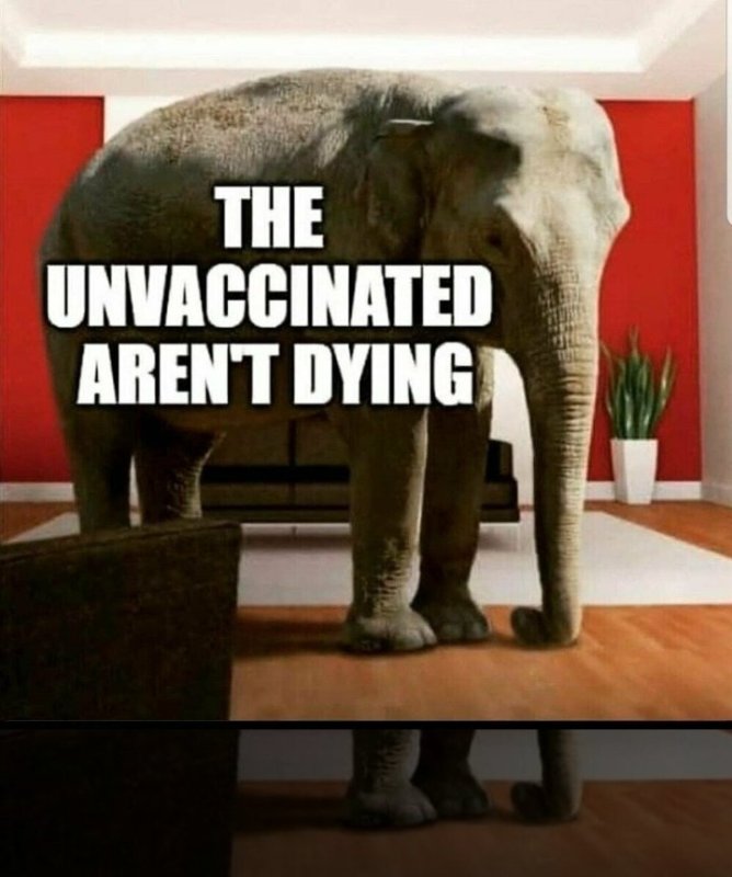 les-non-vaccines-ne-meurent-pas.jpg
