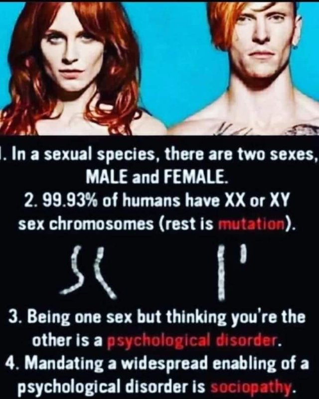 maladies-mentales-du-genre.jpg