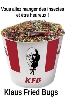 les-klaus-fried-bugs.jpg