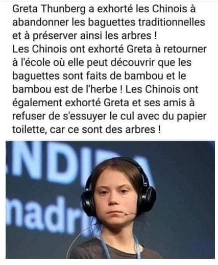 les-desirs-debiles-de-greta.jpeg