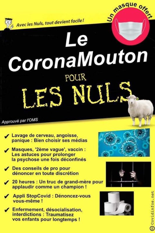 le-coronamouton-pour-les-nuls.jpeg