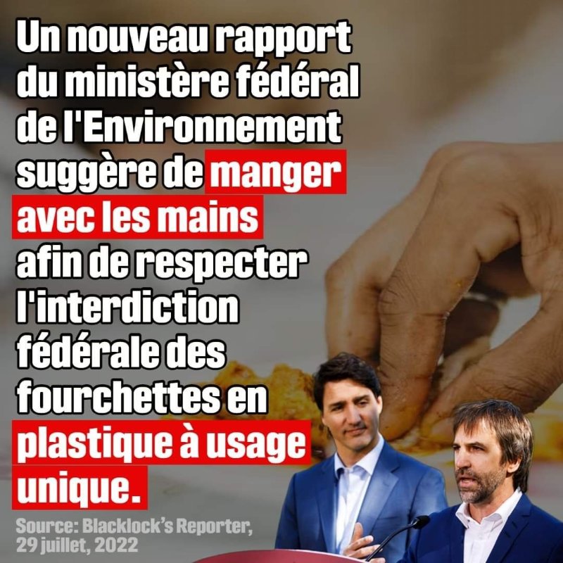 manger-avec-les-mains-au-canada.jpeg