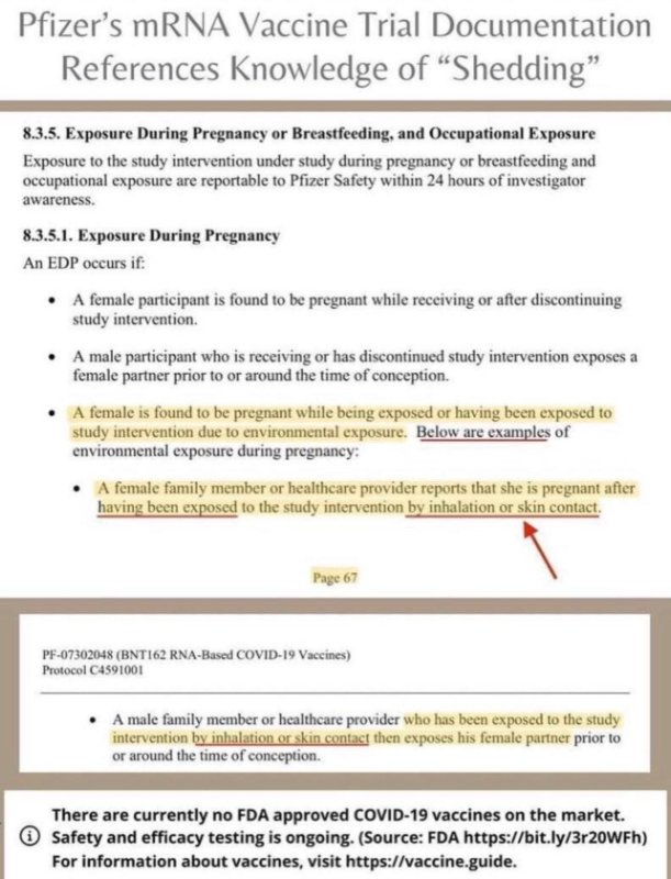 pfizer-propagation.jpeg
