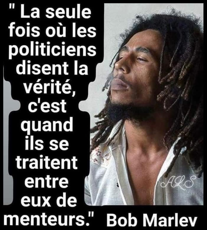les-politiciens-sont-des-menteurs.jpeg