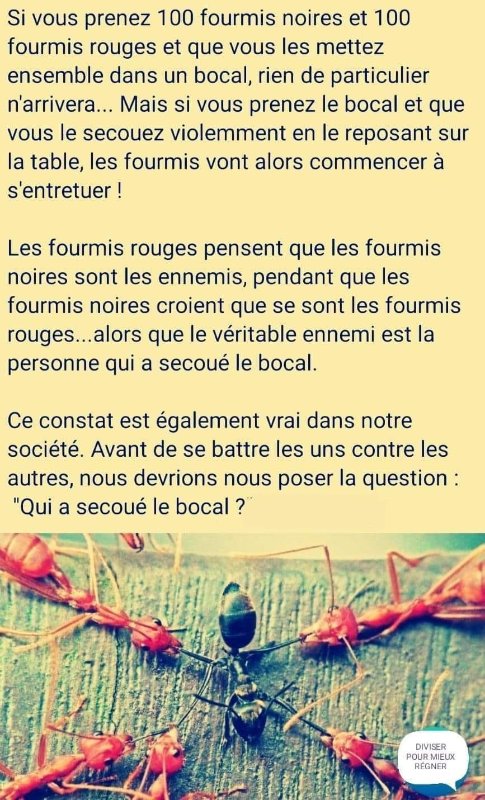qui-a-secoue-le-bocal.jpeg