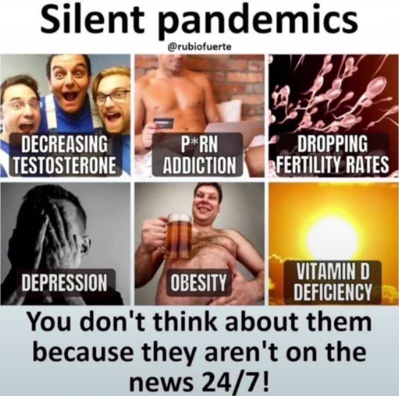 les-pandemies-cachees.jpeg