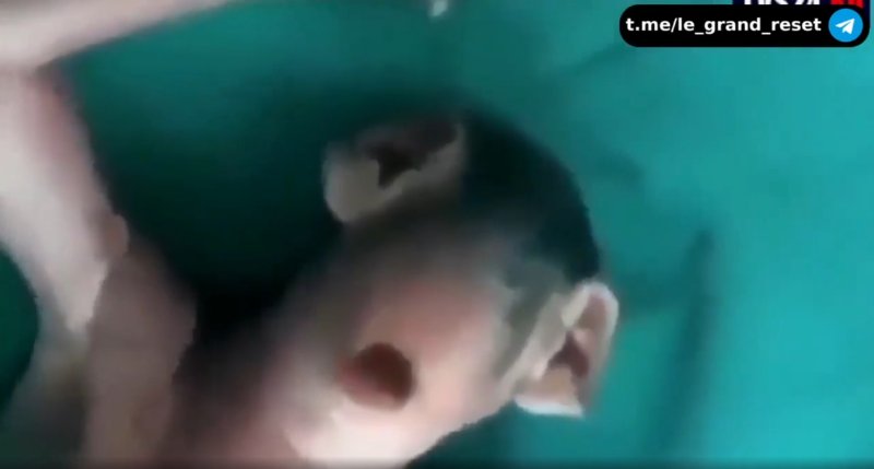 chimere-melangee-avec-l-humain.jpg