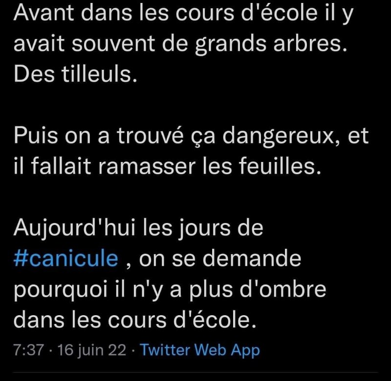 avant-dans-les-cours-d-ecoles-il-y-avait-des-arbres.jpg