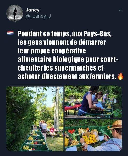 creer-des-coop-alimentaires-pour-court-circuiter-les-epiceries.jpg