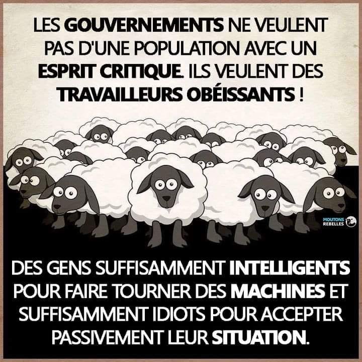 le-gouvernement-veut-des-dociles.jpg