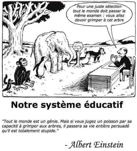notre-systeme-educatif.jpg