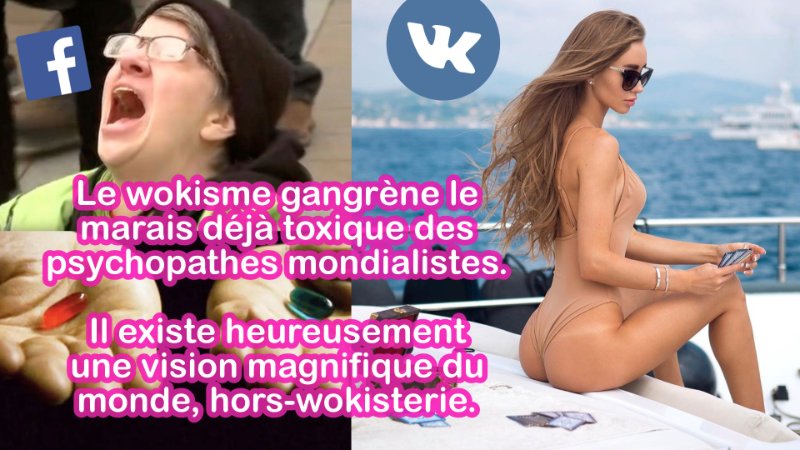un-monde-hors-de-la-wokisterie.jpg