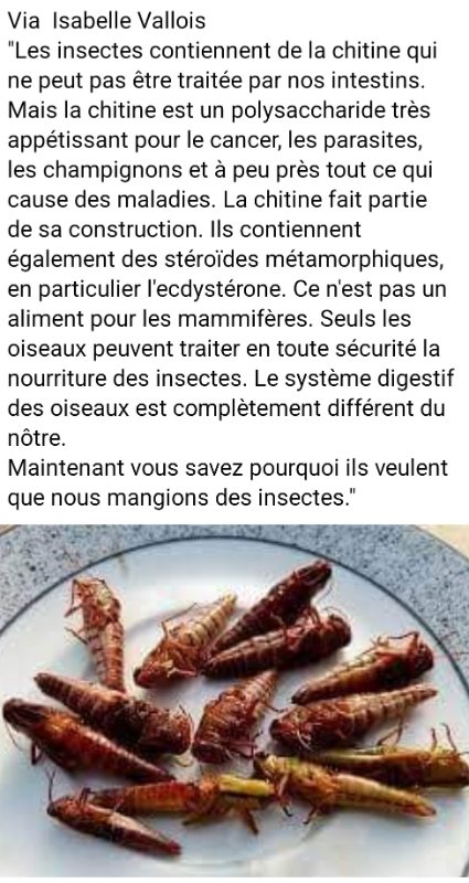 danger-de-la-chitine-qui-nourrit-les-cancers.jpg