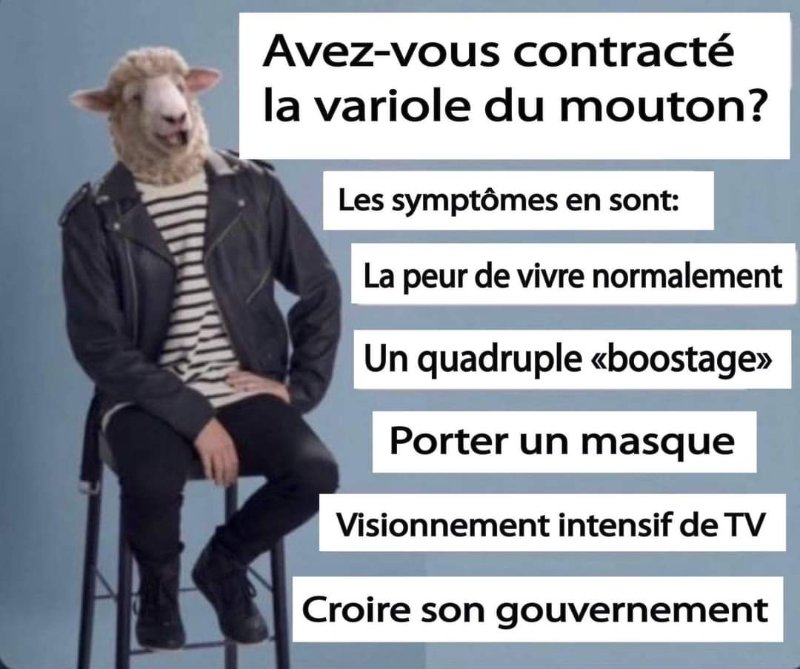 la-variole-du-mouton.jpeg