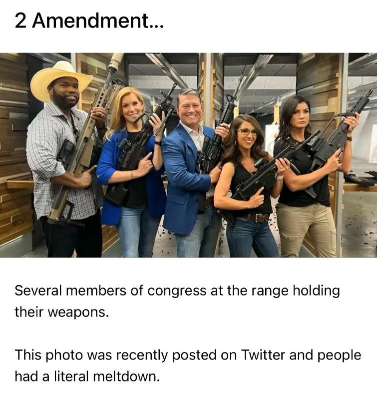 le-2e-amendement-aux-etats-unis-avec-des-membres-du-congres-qui-l-ont-compris.jpeg