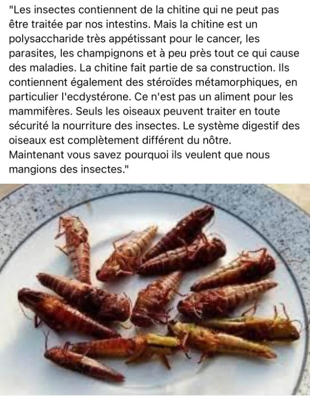 les-insectes-contiennent-de-la-chitine-qui-nourrit-les-cancers.jpeg