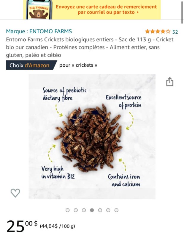les-insectes-empoisonnes-a-la-chitine.jpeg