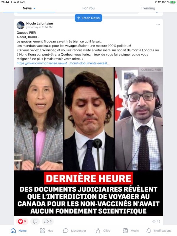 l-interdiction-de-voyager-venait-de-la-trudeauisterie.jpeg