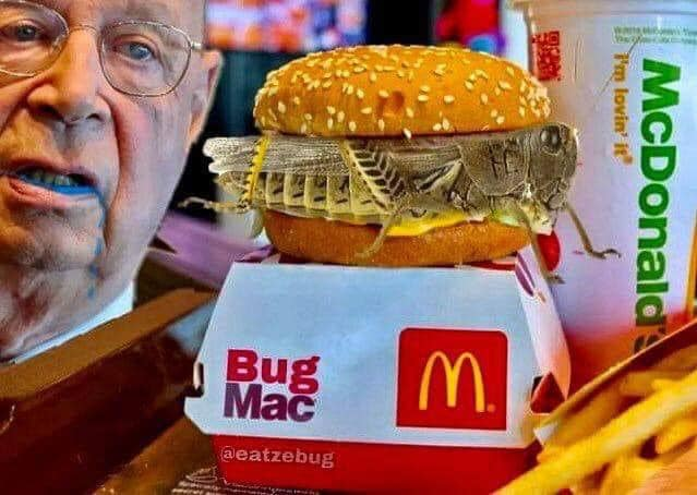 mc-grillon-approuve-par-klaus-schwab.png