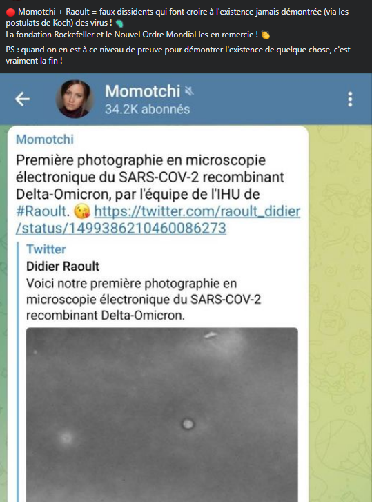 momotchi-et-raoult-sont-de-faux-dissidents.png